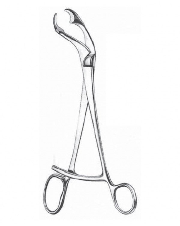 VERBRUGGE Bone Holding Forceps